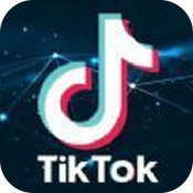 tiktok18+破解版