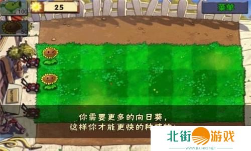 植物大战僵尸无尽版