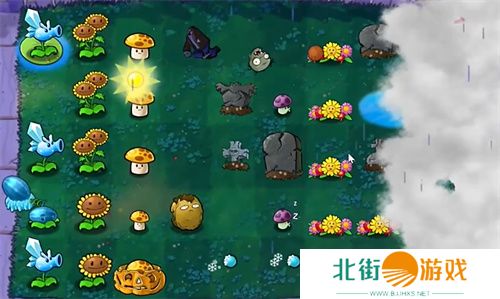 植物大战僵尸生态版